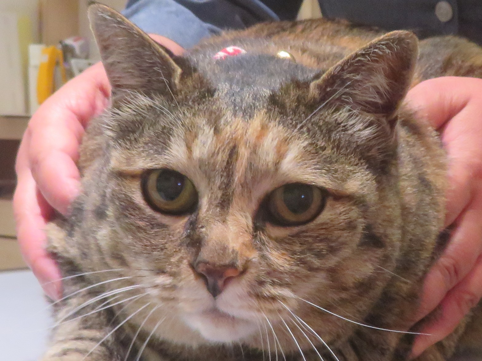 5 月 14 日の写真_c0174644_20450854.jpg