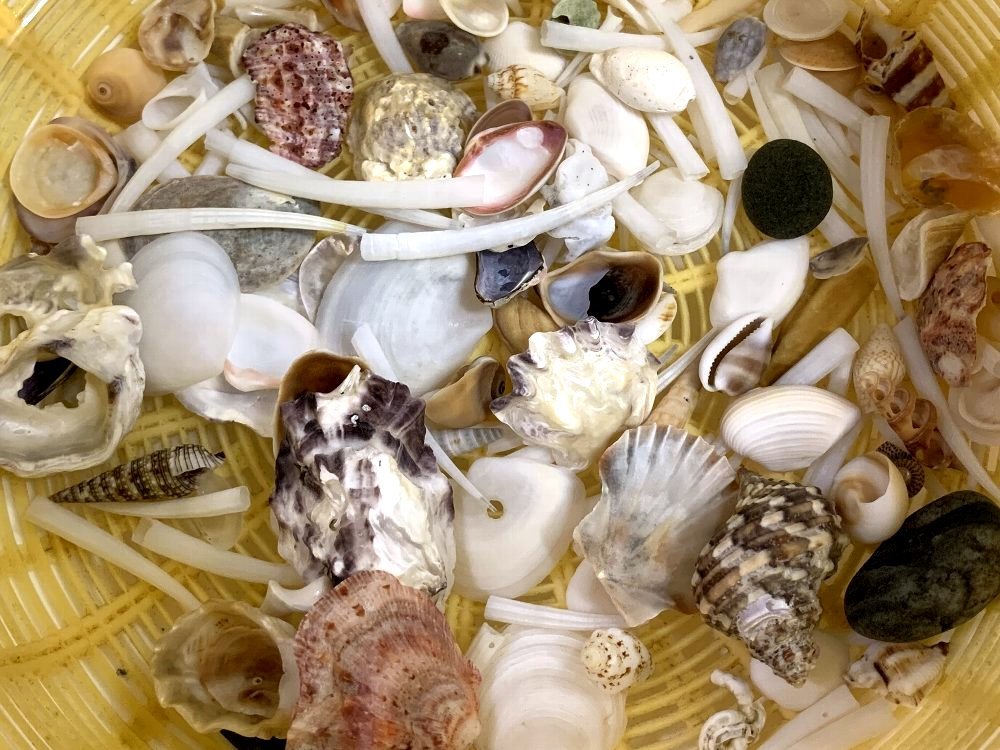 ☆ちょっとの時間で行ける海・逗子海岸☆_c0092953_03322630.jpg