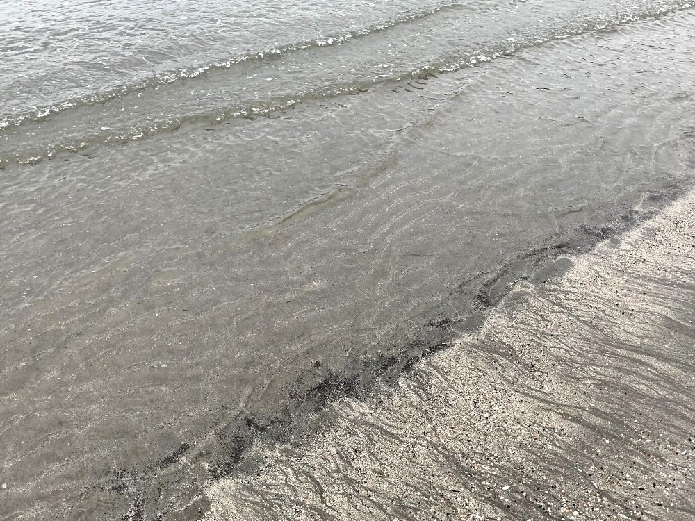 ☆ちょっとの時間で行ける海・逗子海岸☆_c0092953_03360662.jpg
