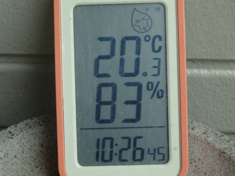 ようやく雨は やんだが・・・_c0108460_11292323.jpg