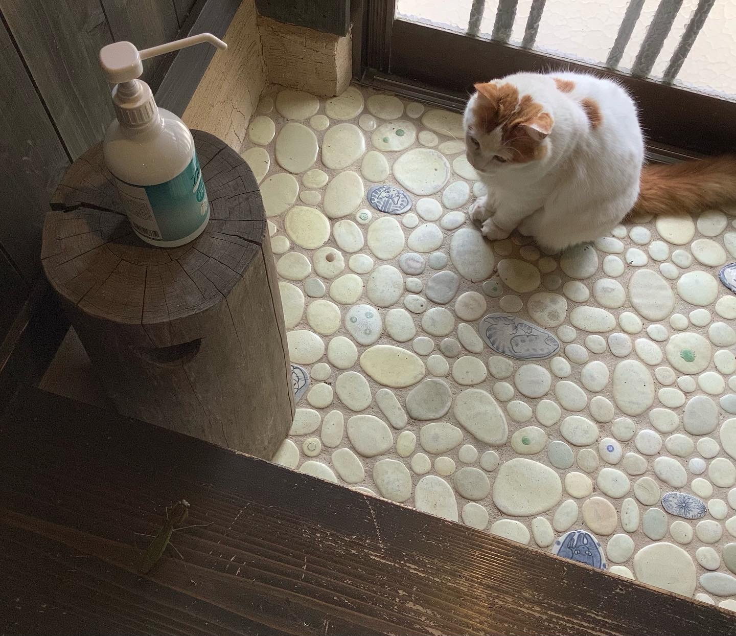 梅雨のような三日間でした_d0336460_00252757.jpeg