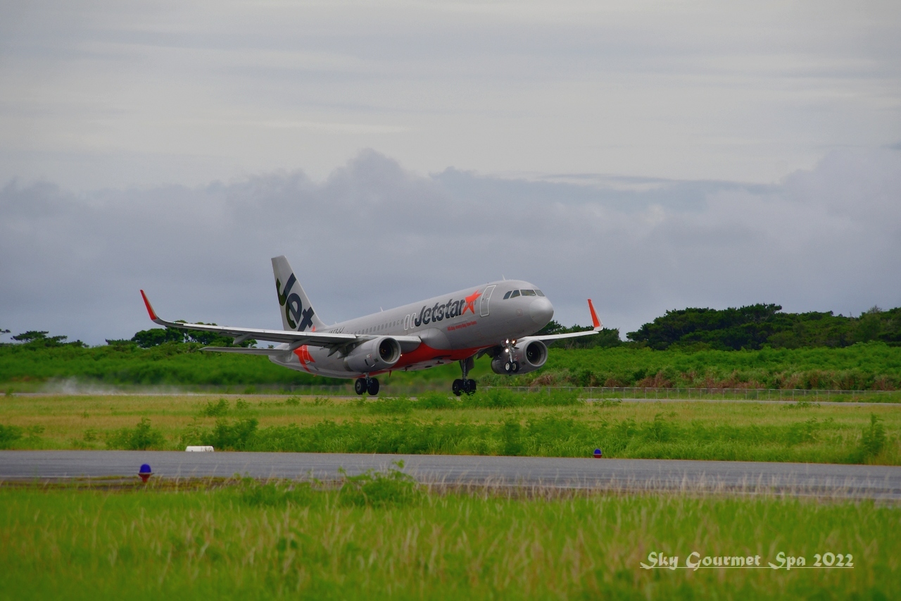 ◆ 「2021宮古・沖縄」その4、飛来した飛行機たち@下地島(2021年6月)_d0316868_05061912.jpg