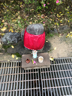 朝の散歩とさくらんぼ🍒あれこれ_f0363168_20422821.png