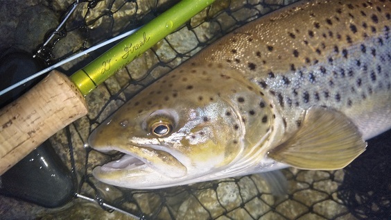 Spey Casting in Lake Chuzenji : 店主のマニアック日記
