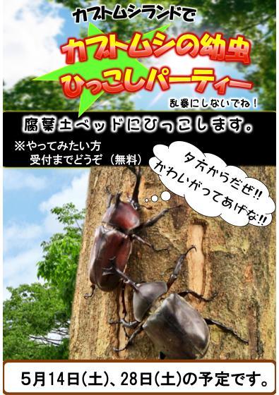 オハネフ25の魅力!_b0219993_08293996.jpg
