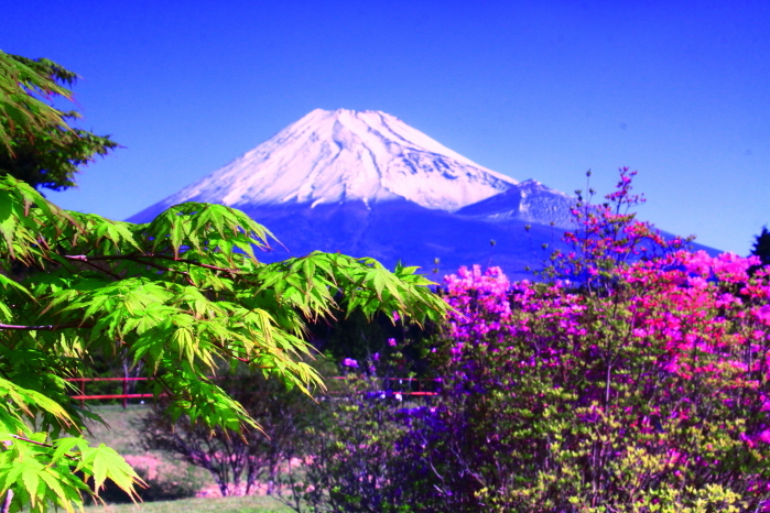 令和4年5月の富士 (3)　富士山こどもの国の富士_e0344396_22571658.jpg