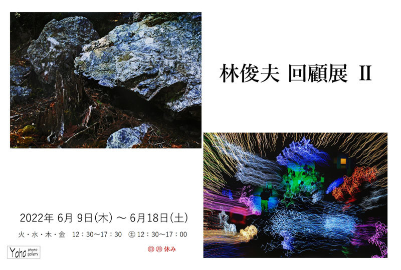 林 俊夫 回顧展Ⅱ_d0342009_13450130.jpg