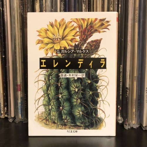 養老孟司とガルシアマルケス_d0094512_22440900.jpg