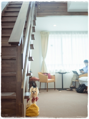 お泊まりしてきました。_d0179828_12375958.png