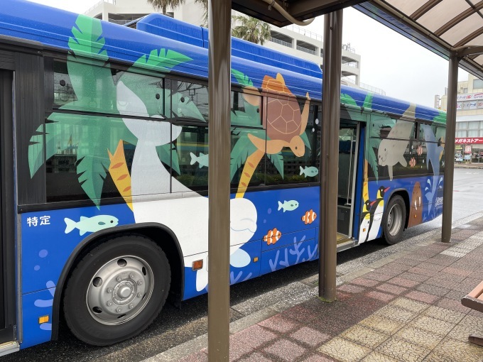 22年5月 Gw千葉 外房 旅行 鴨川シーワールド Snow Days