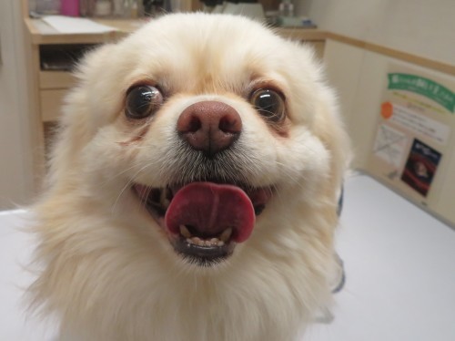 5 月 15 日の写真_c0174644_12474865.jpg