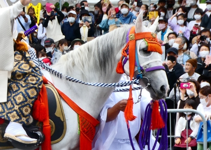 　　和歌祭りハイライト　　２０２３-０５-１６　００：００_b0093754_21281846.jpg