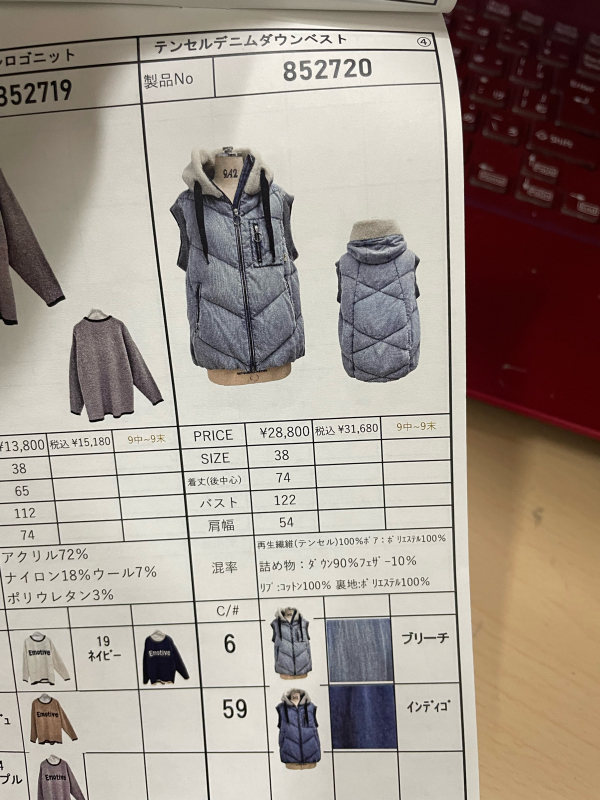 アヤン テンセル デニム ダウンベスト : dimanche ディマンシュ
