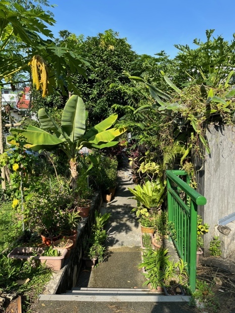 Siglapを散歩しながら考える、シンガポールの昔と今