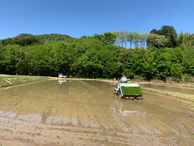 雲一つない青空の下_a0163716_10392010.jpg