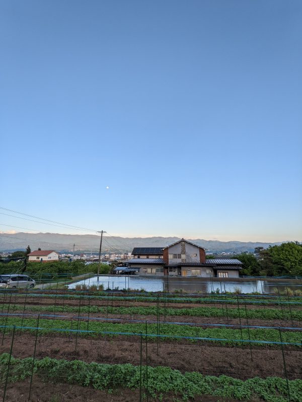 今週は土曜日も仕事_c0057821_20520798.jpg