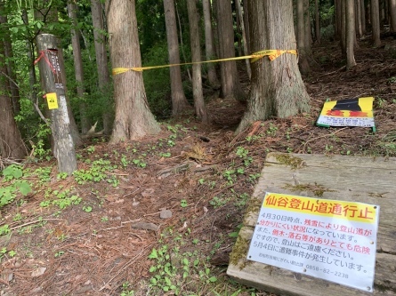 登山道パトロール_f0101226_17113504.jpeg