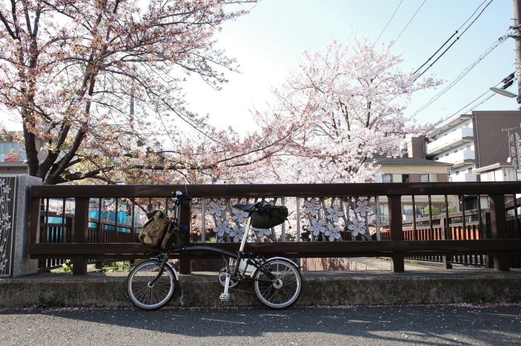 Sweets Atelier 5399   東京都世田谷区中町/隠れ家カフェ 洋菓子 ~ 世田谷区開拓強化月間 その10_a0287336_20023504.jpg