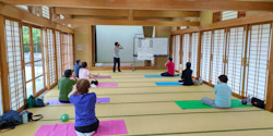 5月もはや半ば_d0256145_11041058.jpg
