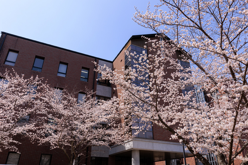2022桜咲く京都　同志社大学の桜_f0155048_22155749.jpg