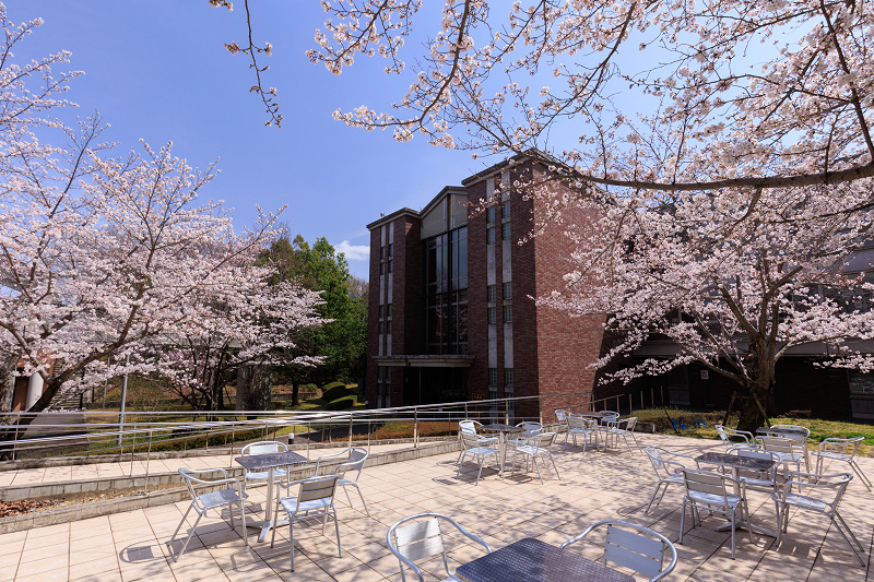 2022桜咲く京都　同志社大学の桜_f0155048_22160580.jpg