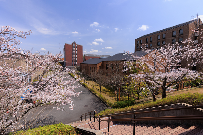 2022桜咲く京都　同志社大学の桜_f0155048_22162747.jpg