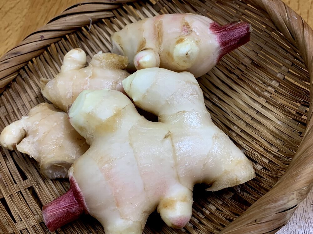 ☆新生姜で、ジンジャーシロップ＆粒々☆_c0092953_23583046.jpg