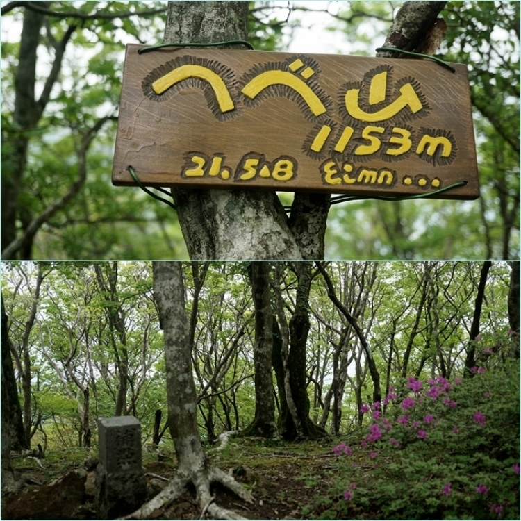 由布岳山麓花散歩・・・70歳登山の「はじめ一歩」。_f0016066_17593366.jpg