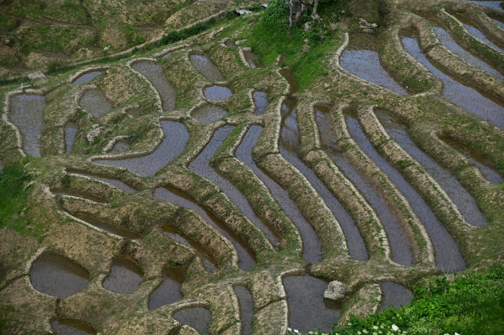 能登の棚田風景_a0341170_10022469.jpg