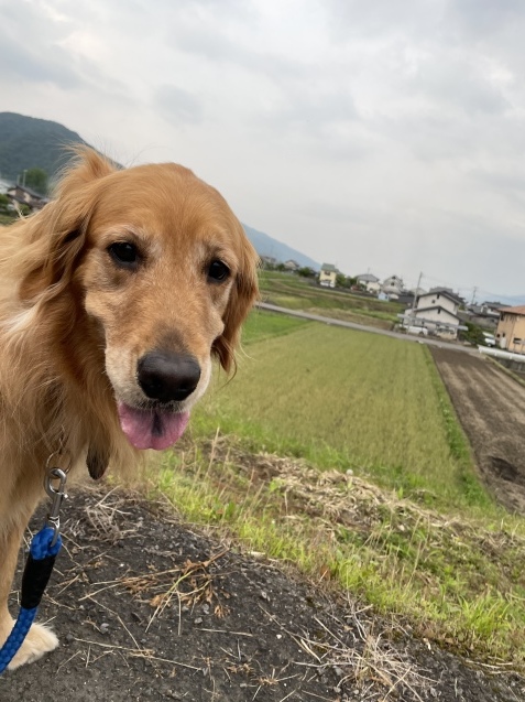 疲れる理由は。_a0394574_20594200.jpeg