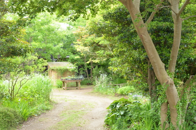 2022年葉山芸術祭　草庭オープンガーデン　ありがとうございました。　_b0167282_15155770.jpg