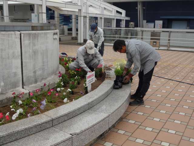 名古屋港水族館前花壇の植栽R4.5.9_d0338682_15131992.jpg