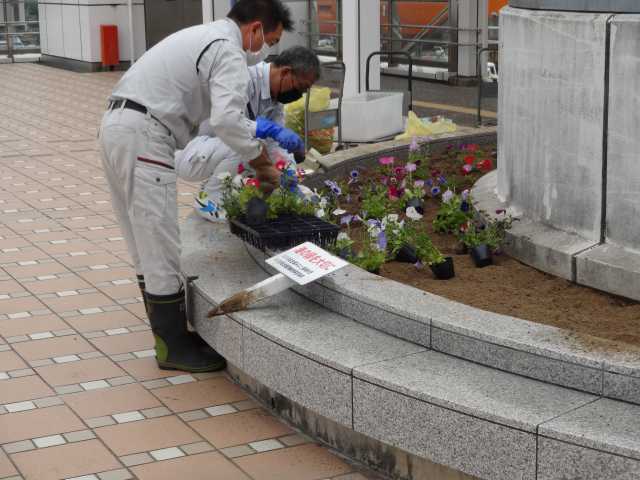 名古屋港水族館前花壇の植栽R4.5.9_d0338682_15151546.jpg