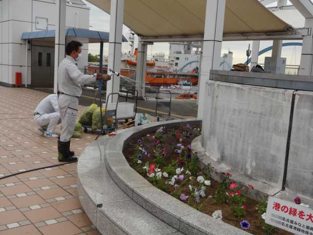 名古屋港水族館前花壇の植栽R4.5.9_d0338682_15154324.jpg