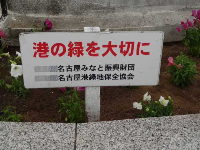 名古屋港水族館前花壇の植栽R4.5.9_d0338682_15162582.jpg