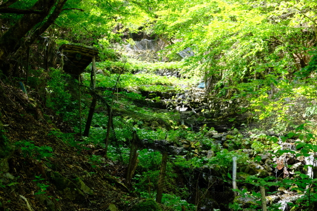 一人登山 飛龍山_e0000910_10545295.jpg
