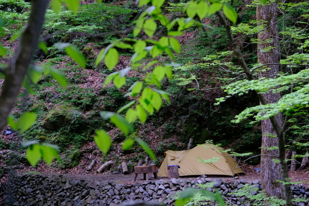 一人登山 飛龍山_e0000910_12073200.jpg