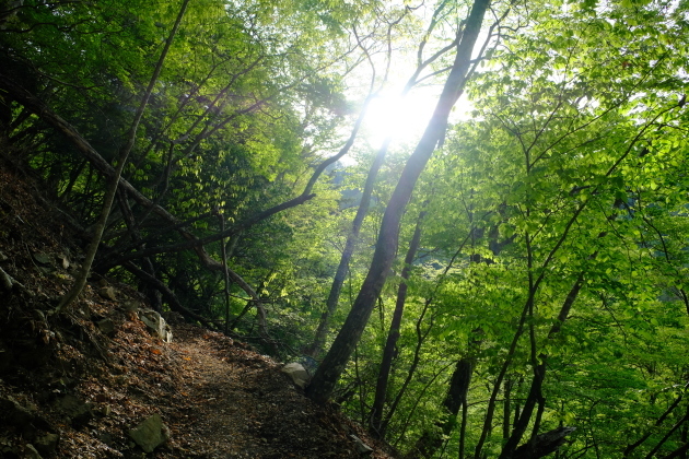 一人登山 飛龍山_e0000910_12121780.jpg