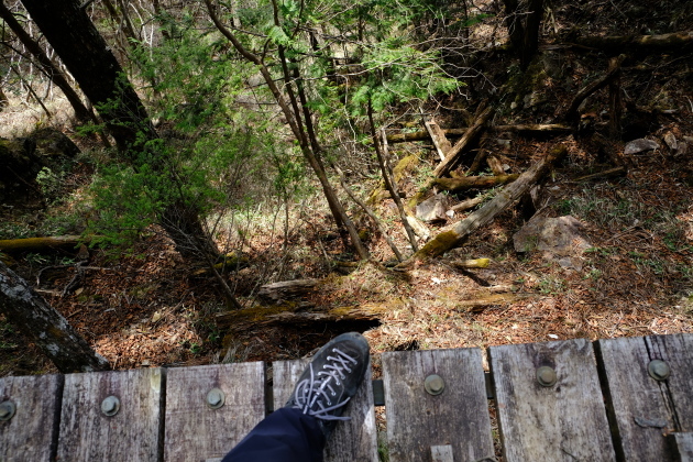一人登山 飛龍山_e0000910_12163603.jpg