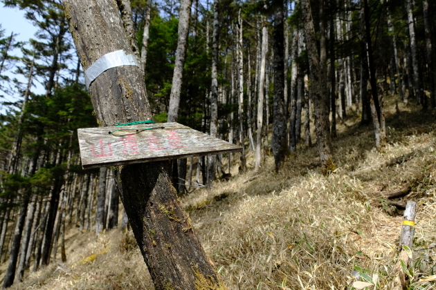 一人登山 飛龍山_e0000910_12165935.jpg
