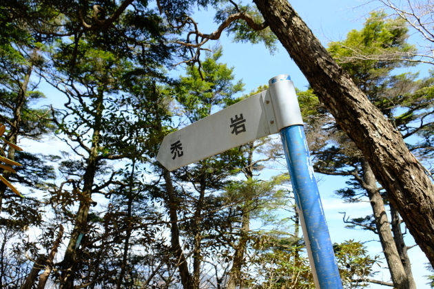 一人登山 飛龍山_e0000910_12174836.jpg