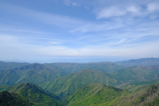 一人登山 飛龍山_e0000910_12191257.jpg