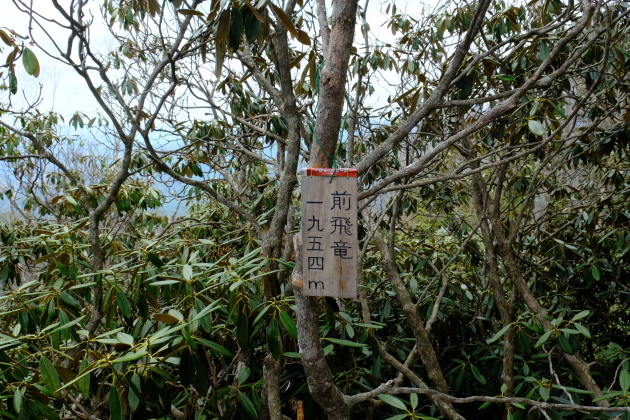 一人登山 飛龍山_e0000910_12261717.jpg