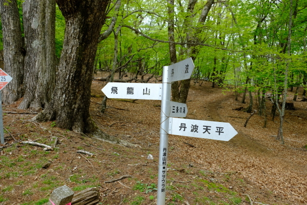 一人登山 飛龍山_e0000910_12355695.jpg
