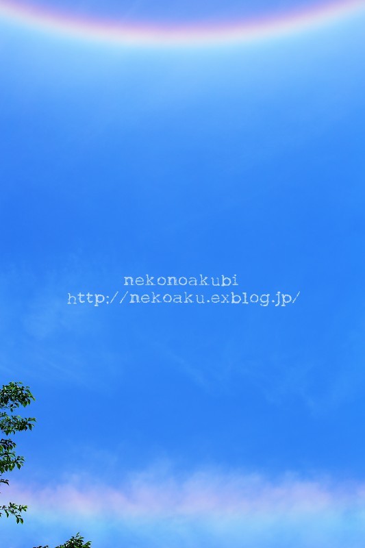 空へ _b0003512_07372182.jpg