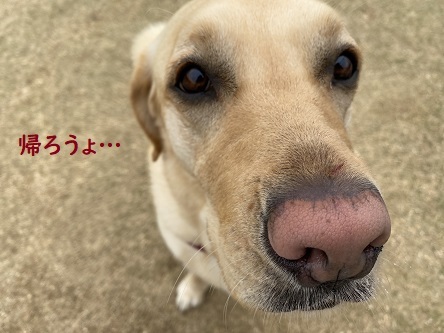 やられた…。_c0182012_13492281.jpg