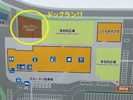 やられた…。_c0182012_13544322.jpg