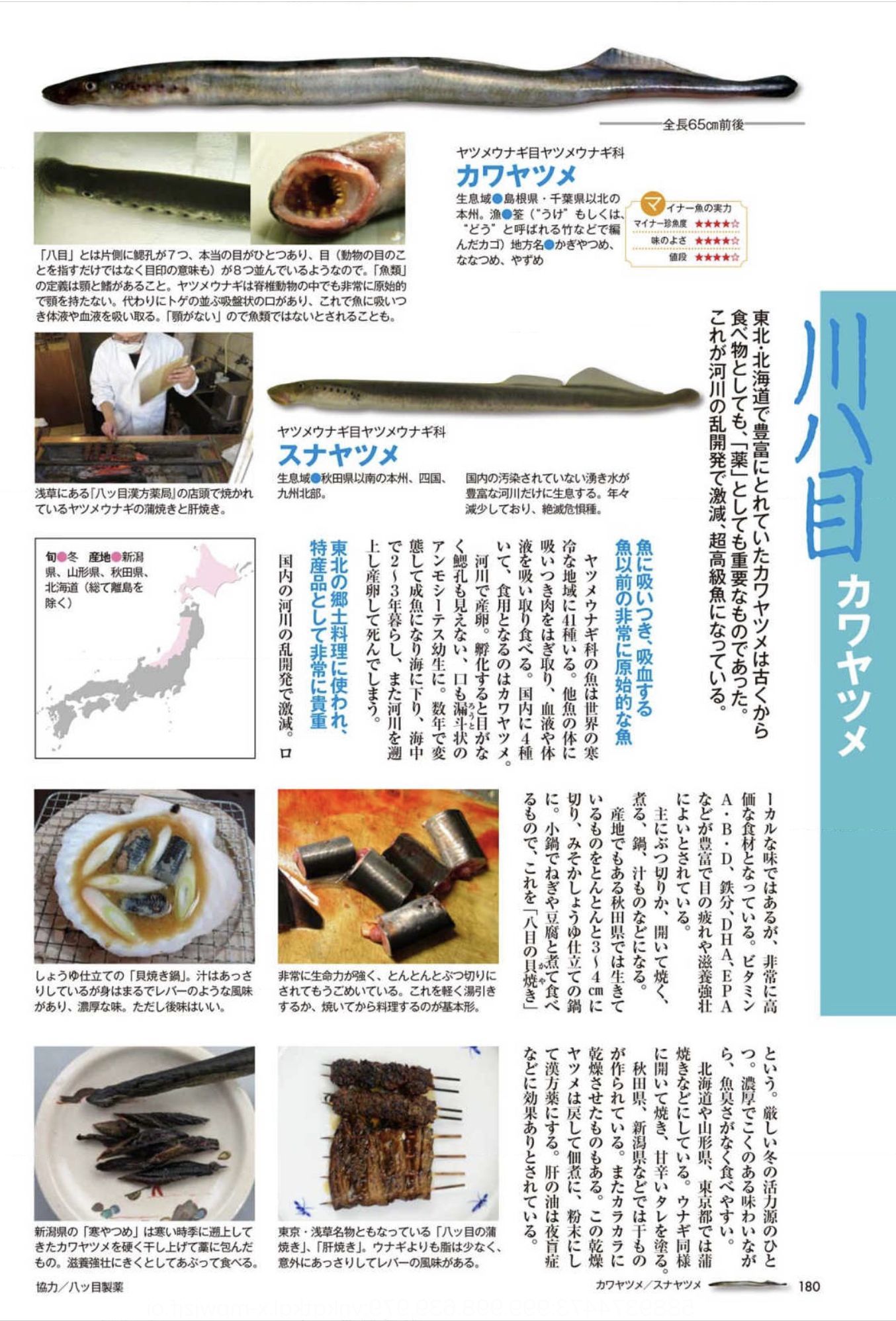 暖かくなったがギリギリ夏日にはならず_c0025115_22302692.jpg
