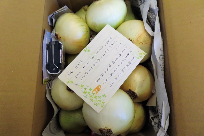 ソルテラの充電環境_f0076731_11315998.jpeg
