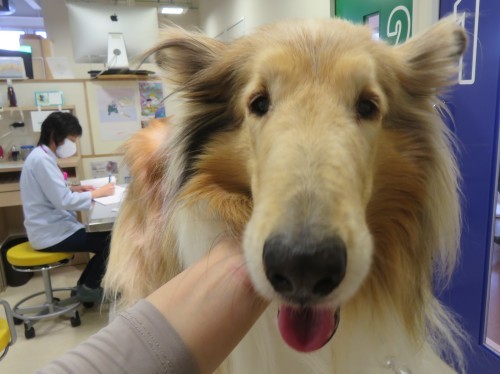 5 月 17 日の写真_c0174644_20145129.jpg